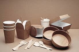 Why Eco-Friendly Packaging Is the Future of Takeaway Food